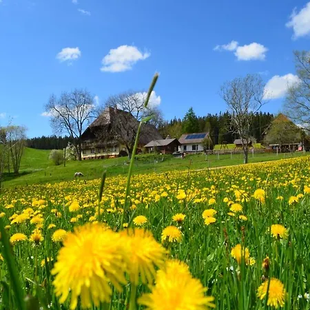 شقة Deckerhof *
